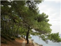 Lošinj